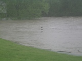 Scott County KY